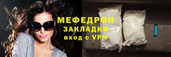 индика Богданович