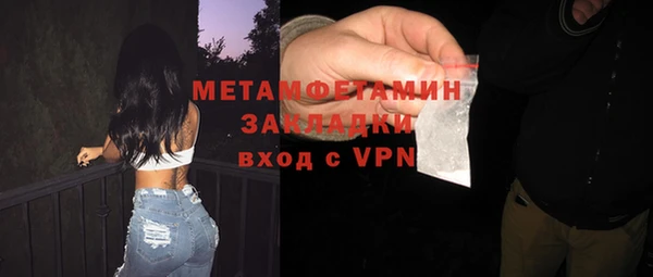 индика Богданович