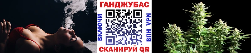 Бошки марихуана конопля  Ишим 